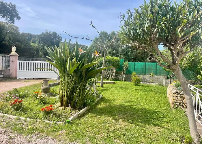 Acces Piscine - T2 Serena *