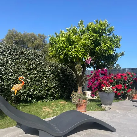 Acces Piscine - T2 Serena Апартаменты Cuttoli-Corticchiato