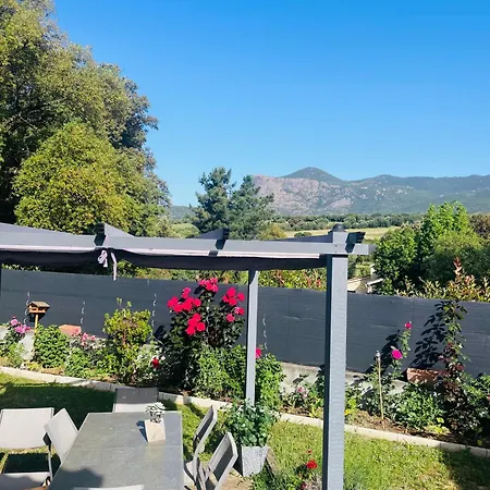 Апартаменты Acces Piscine - T2 Serena