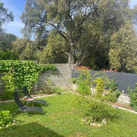 Apartment Acces Piscine - T2 Serena