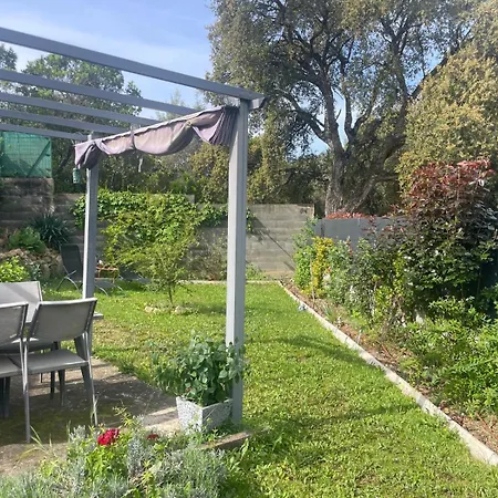 Acces Piscine - T2 Serena Cuttoli-Corticchiato