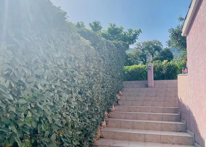 Acces Piscine - T2 Serena *