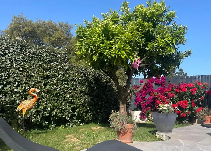 Acces Piscine - T2 Serena شقة Cuttoli-Corticchiato