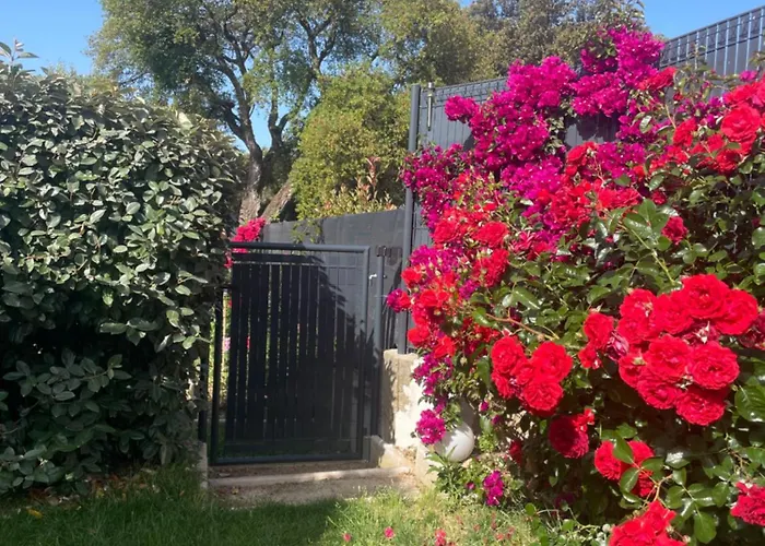 شقة Acces Piscine - T2 Serena *