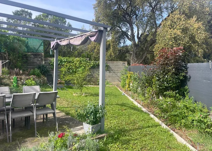 Acces Piscine - T2 Serena Cuttoli-Corticchiato